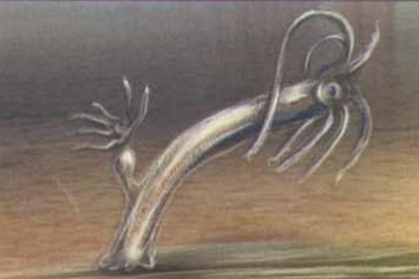 Kra22.at